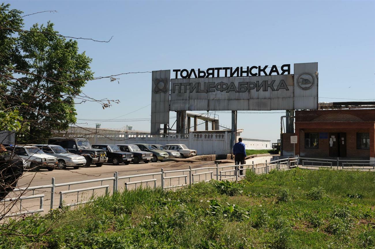 ОАО "Тольяттинская птицефабрика" (г. Тольтти) 
